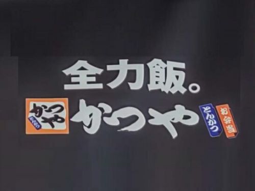 かつや味噌にんにくダレのロースカツと豚スタミナ焼肉丼を食べた感想/レポート/レビュー!料金やカロリー等の栄養成分は?
